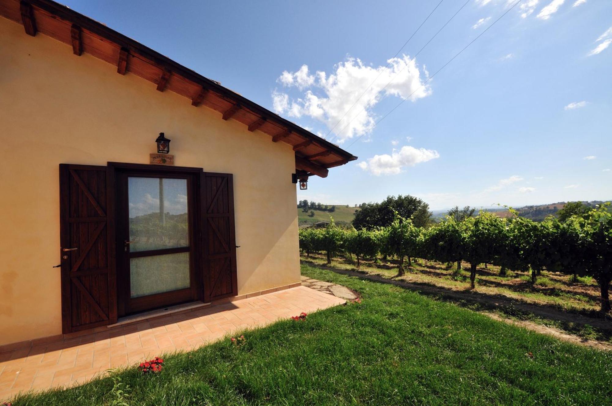 Agriturismo Casale Contessa Montebuono  Dış mekan fotoğraf