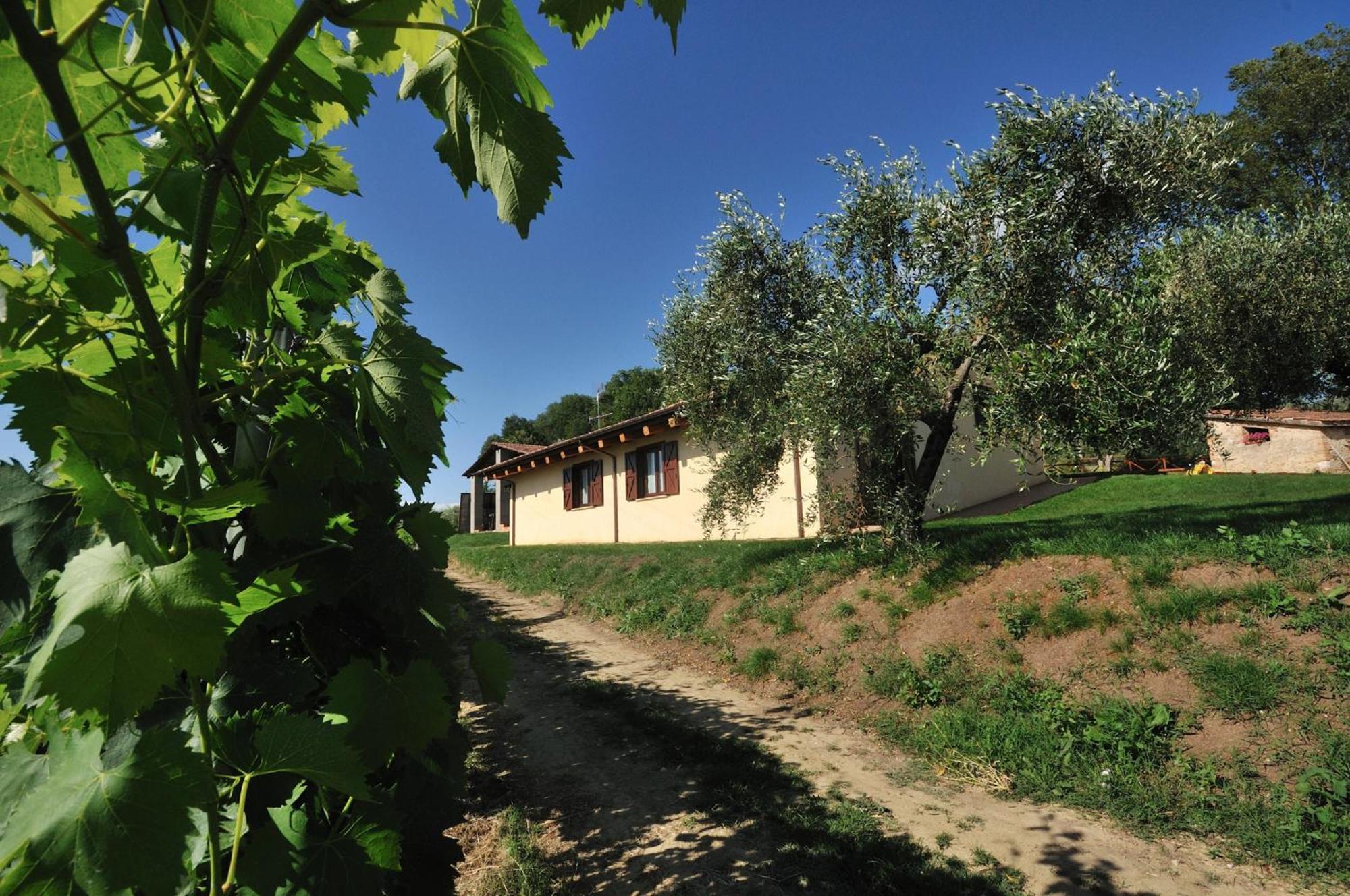 Agriturismo Casale Contessa Montebuono  Dış mekan fotoğraf