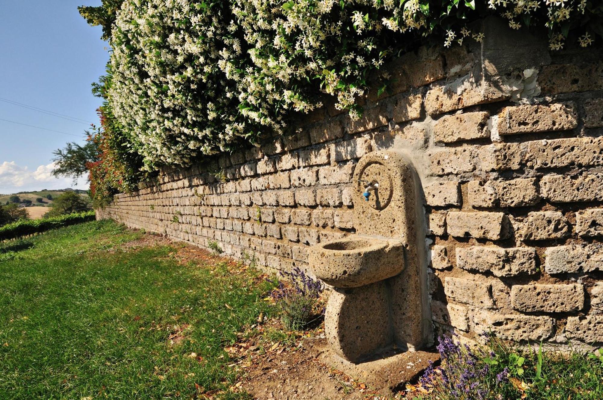 Agriturismo Casale Contessa Montebuono  Dış mekan fotoğraf