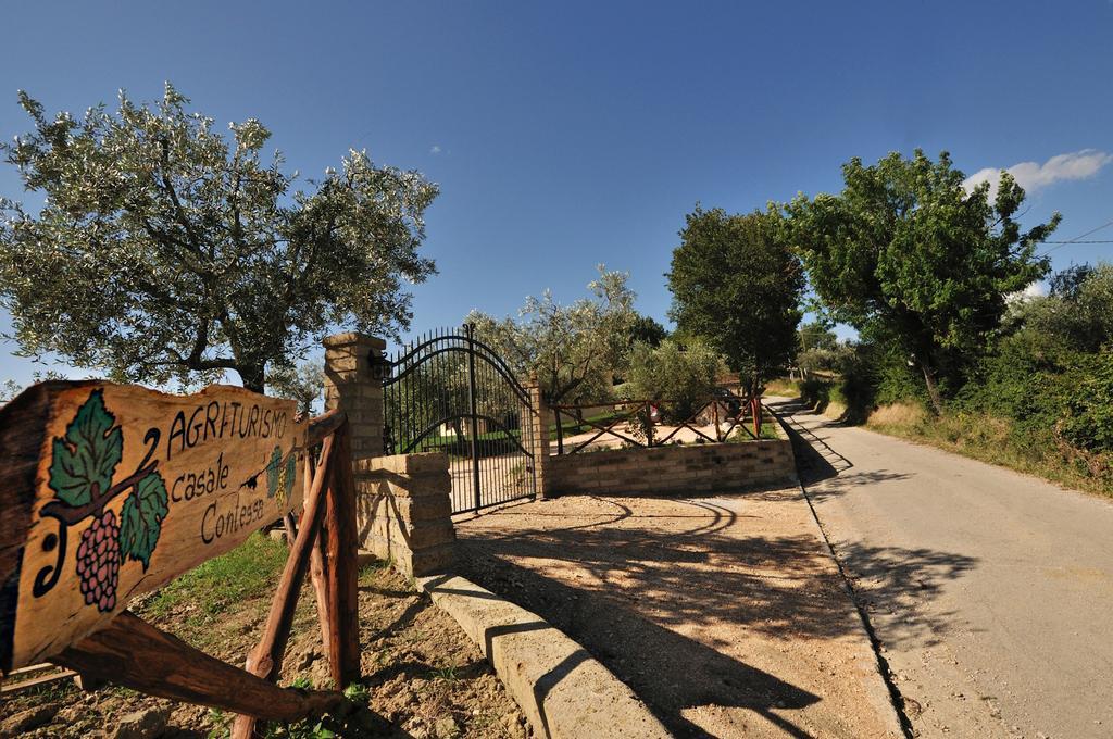 Agriturismo Casale Contessa Montebuono  Dış mekan fotoğraf