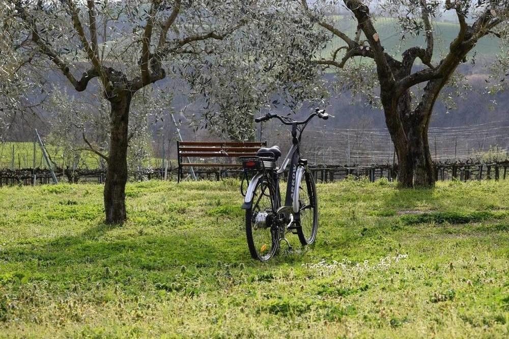 Agriturismo Casale Contessa Montebuono  Dış mekan fotoğraf